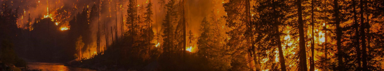 Patagonia - Incendios